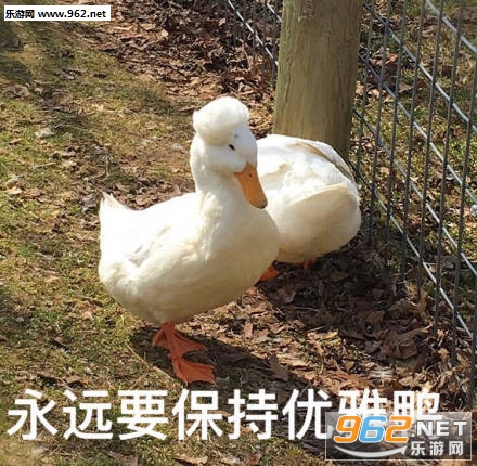 ����������Լ�����ǹ�������ͼ2