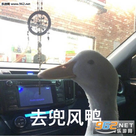 ����������Լ�����ǹ�������ͼ4