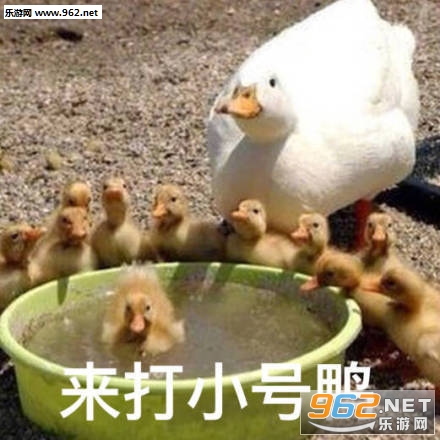����������Լ�����ǹ�������ͼ7