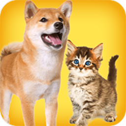 �˹�è������app