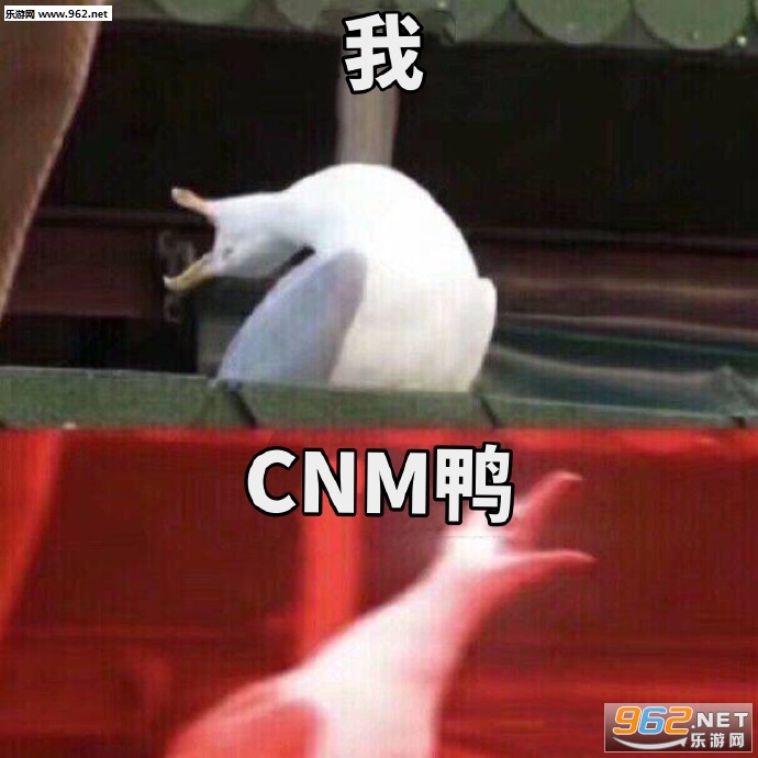 �յ���ʾ�����ͼƬ��ͼ9