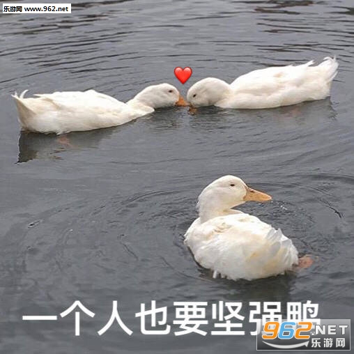 ��Ϧ�����Լ�ƽʱ��Ѷ�û��Ҫ�����ͼƬ��ͼ8