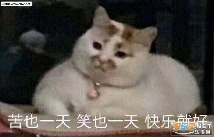 ��������ʵ�������ͼ5