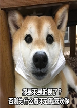 ���ǲ��ǽ�����·�����