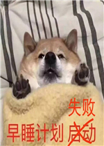 ��˯�ƻ����������