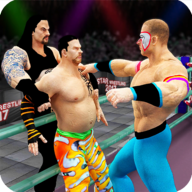 Tag Team Wrestling(����ˤ�ӶӰ�׿��)