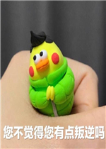 �����������е�����������
