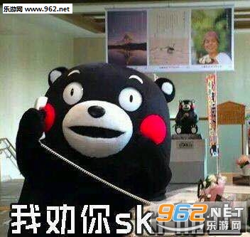 skr�������ͼ0