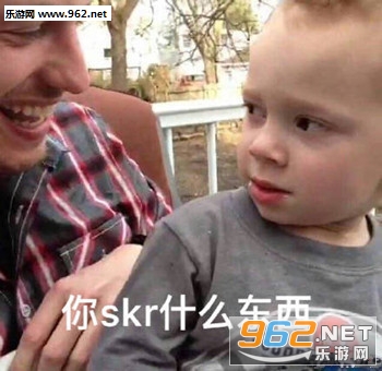skr�������ͼ1
