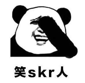 skr�������ͼ3
