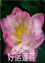 �Ĵ�Կշ�ϵ���������ͼƬ