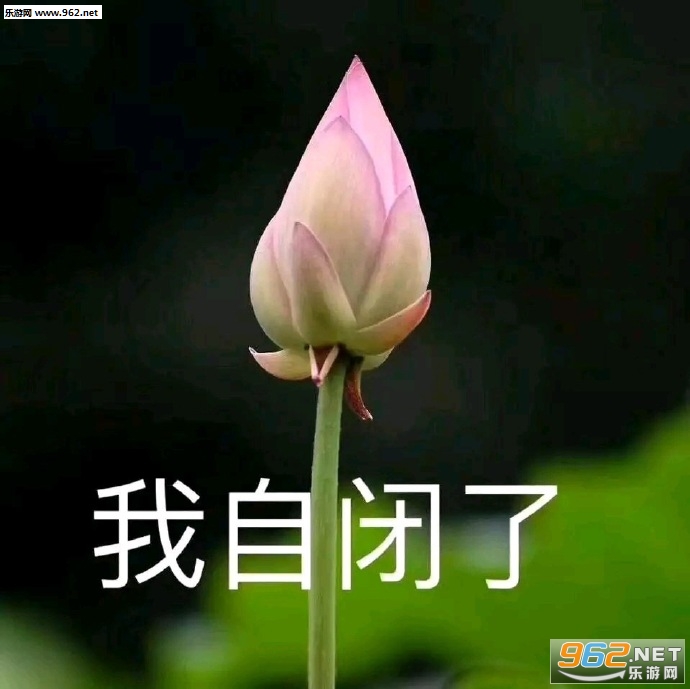 ������Ҫ��ʵ����֤���ҵ���С�������ͼ9