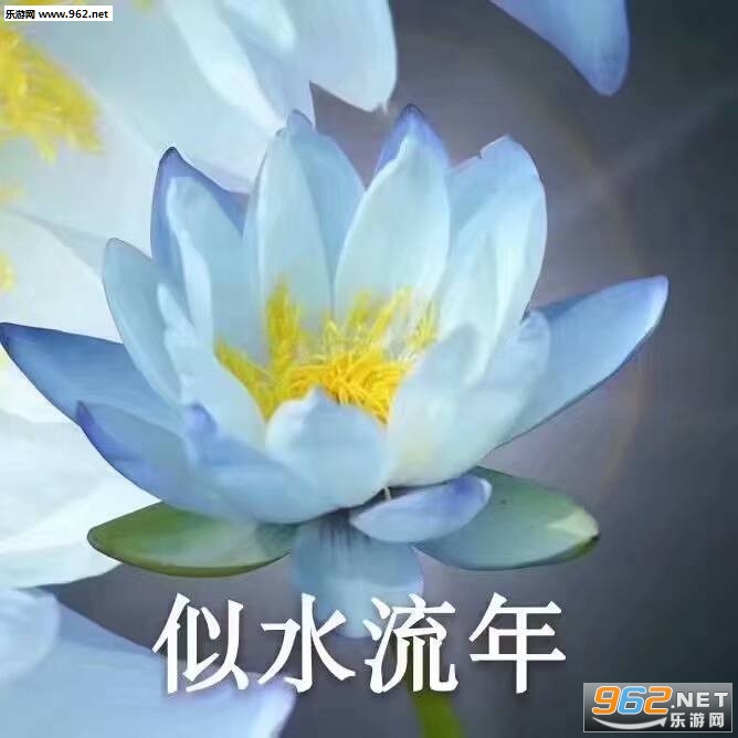 ��ƽ���ͷ�ϵ�������ͼ2