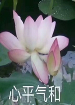 ��ƽ���ͷ�ϵ�����
