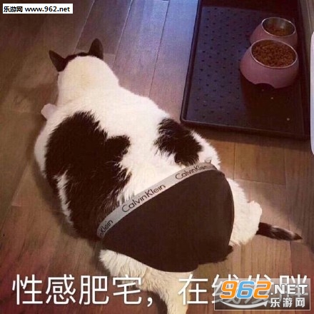 ҧ���ֱ������ͼ7