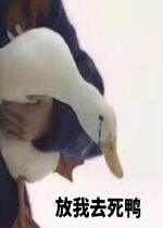ȫԱ����ͼƬ