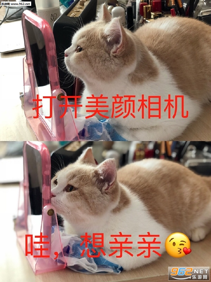 ������ʾ����������ͼƬ��ͼ7