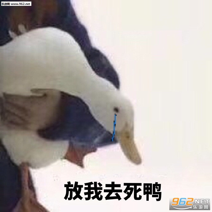 ������ʾ����������ͼƬ��ͼ9