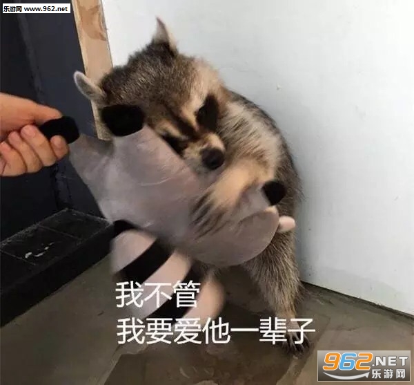 �㶨�˽����ǳ����ȾƱ������ͼ5