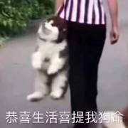 ����Ӳ���������ͼ1