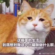����Ӳ���������ͼ6