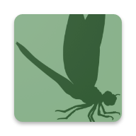 Insect Recognition(昆虫标识符安卓版)