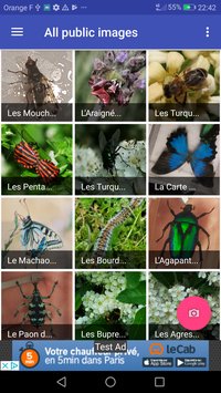 Insect Recognition(�����ʶ����׿��)v1.2.4(Insect Recognition)��ͼ0