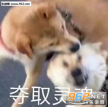 ͻȻ�˷ܵĻ��߱������ͼ0
