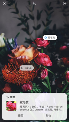 ����ʶ�ﰲ׿��v0.7.1��ͼ1