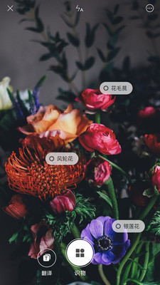 ����ʶ�ﰲ׿��v0.7.1��ͼ0