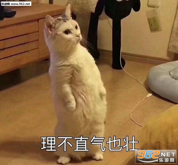 ɳ��ͼ��ˮӡ���������ͼ1