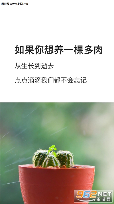 ����ֲ�ﰲ׿��v1.10.0��ͼ1