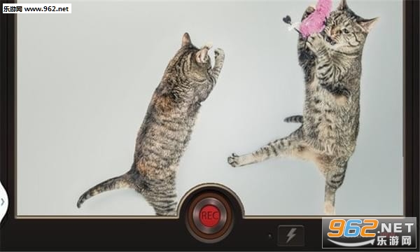 Slow Motion Camera(�����������׿��)v1.6.2(Slow Motion Camera)��ͼ2
