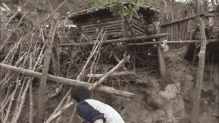 ����һ��û�и���ľƾ����������ͼƬ��ͼ0