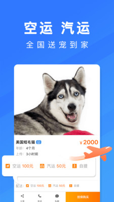 �����г�app��ͼ1
