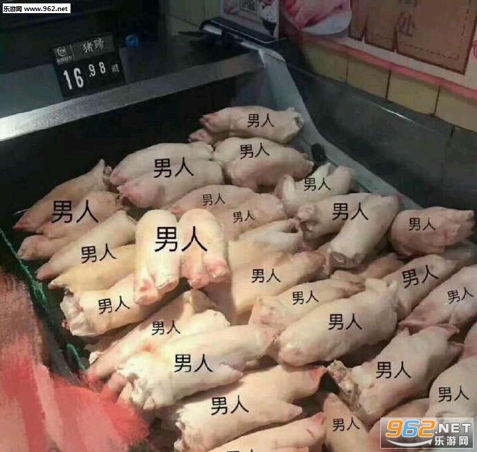 干嘛鸭表情包 干嘛鸭表情包
