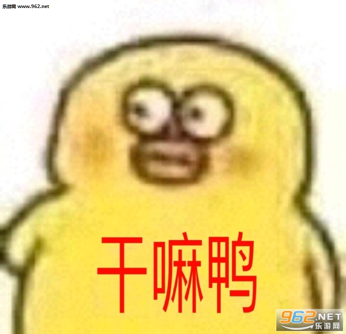 干嘛鸭表情包 干嘛鸭表情包