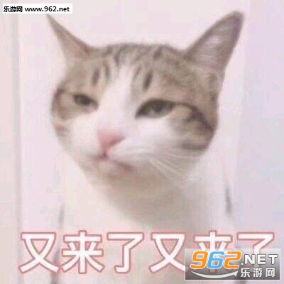 有内鬼加大力度表情包