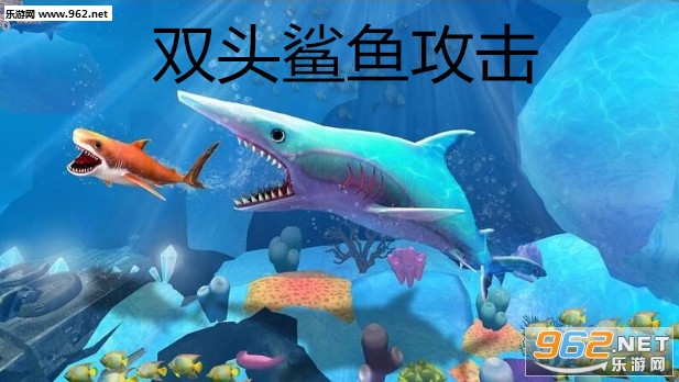 ˫ͷ���㹥���ٷ���