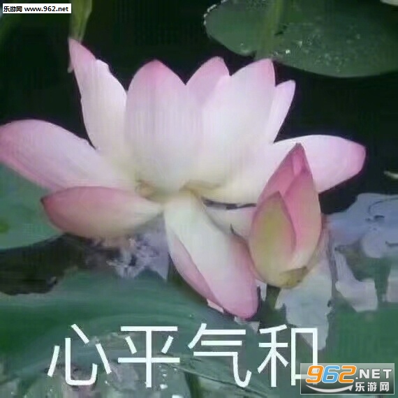 ���þ������������������