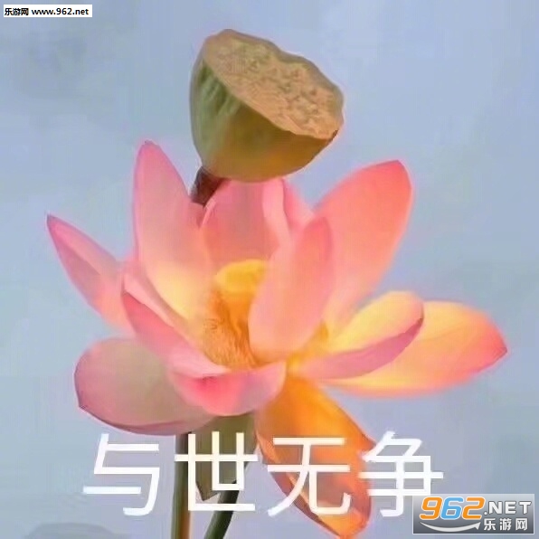 ���þ������������������