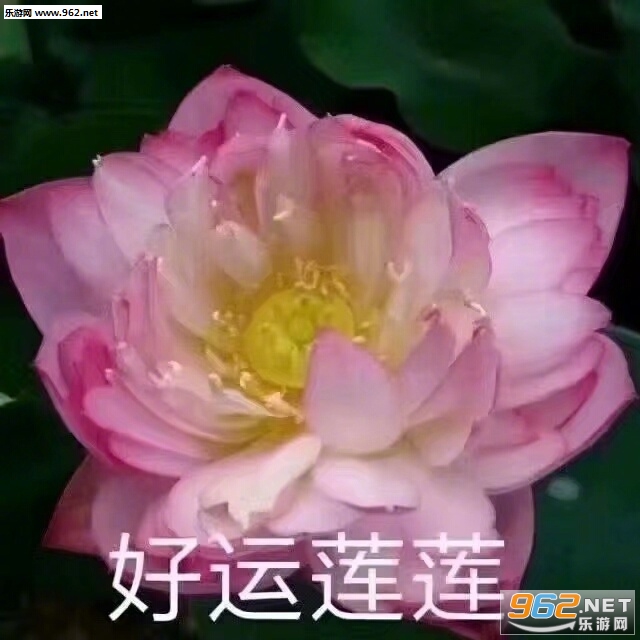 ���þ������������������
