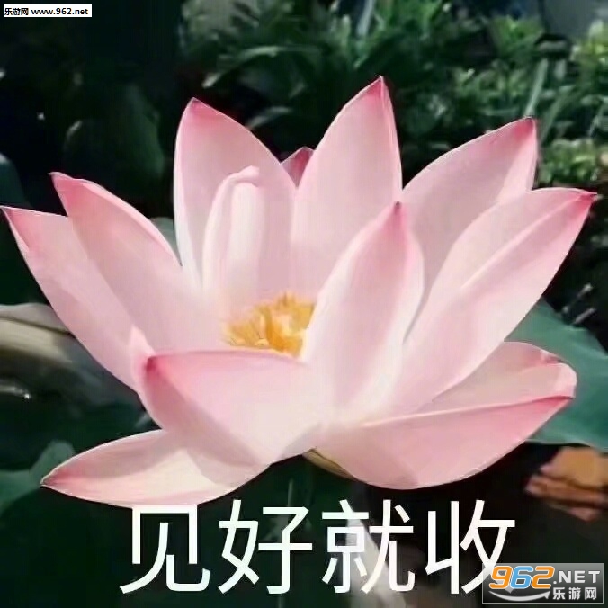 ���þ������������������