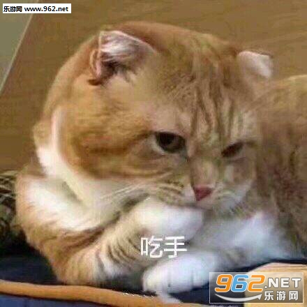 ��Ӧ���ٻ�һ�㌪�������