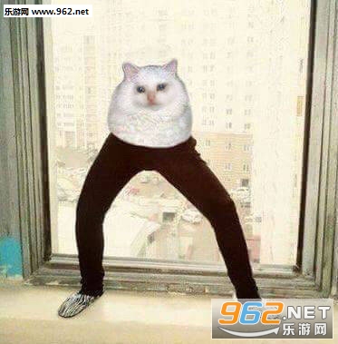 ��Ӧ���ٻ�һ�㌪�������
