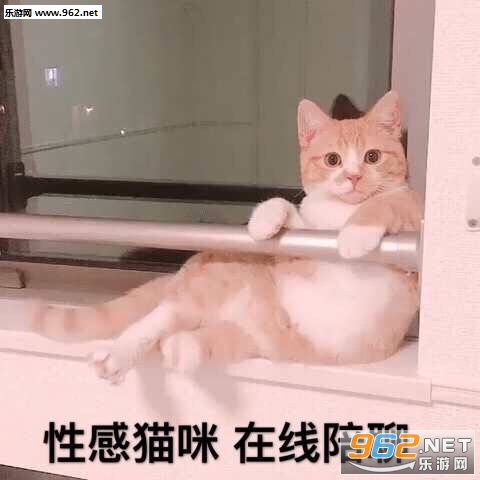 �����Ȳ�Ҫ��������ûǮ���·������