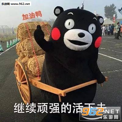 什么是旅游熊本熊表情包 什么是旅游熊本熊表情包