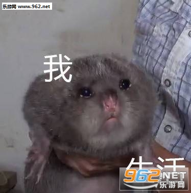 Ī�����ӵ�Ƥ��������
