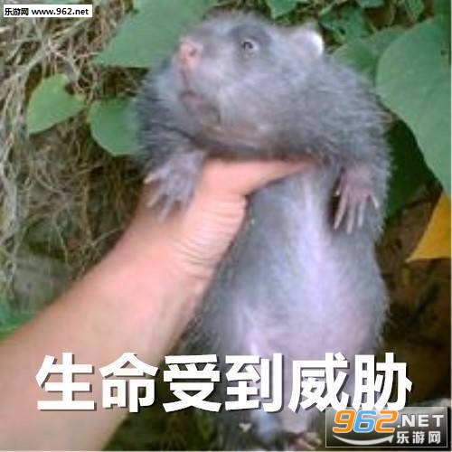 Ī�����ӵ�Ƥ��������