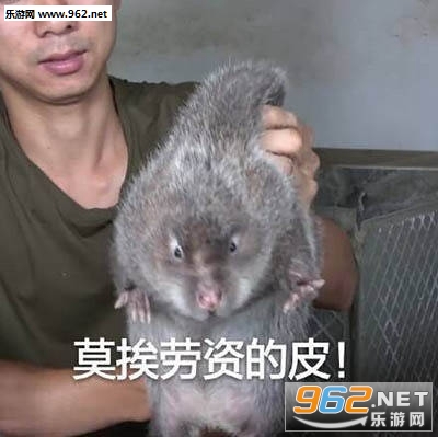 Ī�����ӵ�Ƥ��������